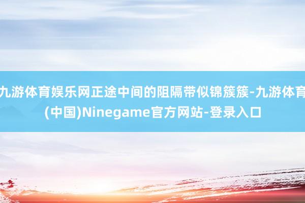 九游体育娱乐网正途中间的阻隔带似锦簇簇-九游体育(中国)Ninegame官方网站-登录入口